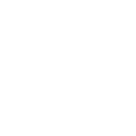 Bespokely Logo