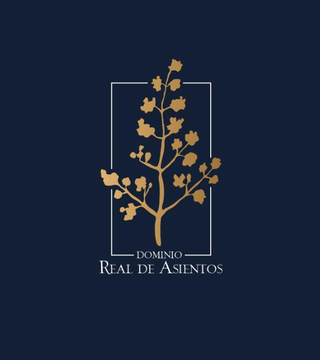 Maßgeschneidertes Testimonial Dominio Real de Asientos Logo